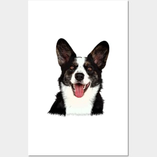 Cardigan Welsh Corgi Portrait/Bust Posters and Art